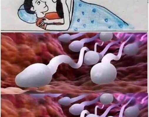 Many know! Studies reveal that swallowing your partner’s semen…see more