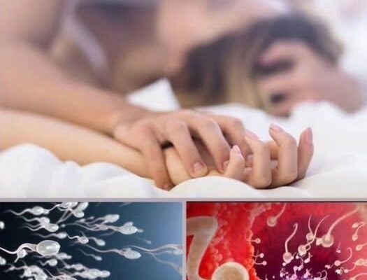 Studies reveal that swallowing your partner’s semen…See more